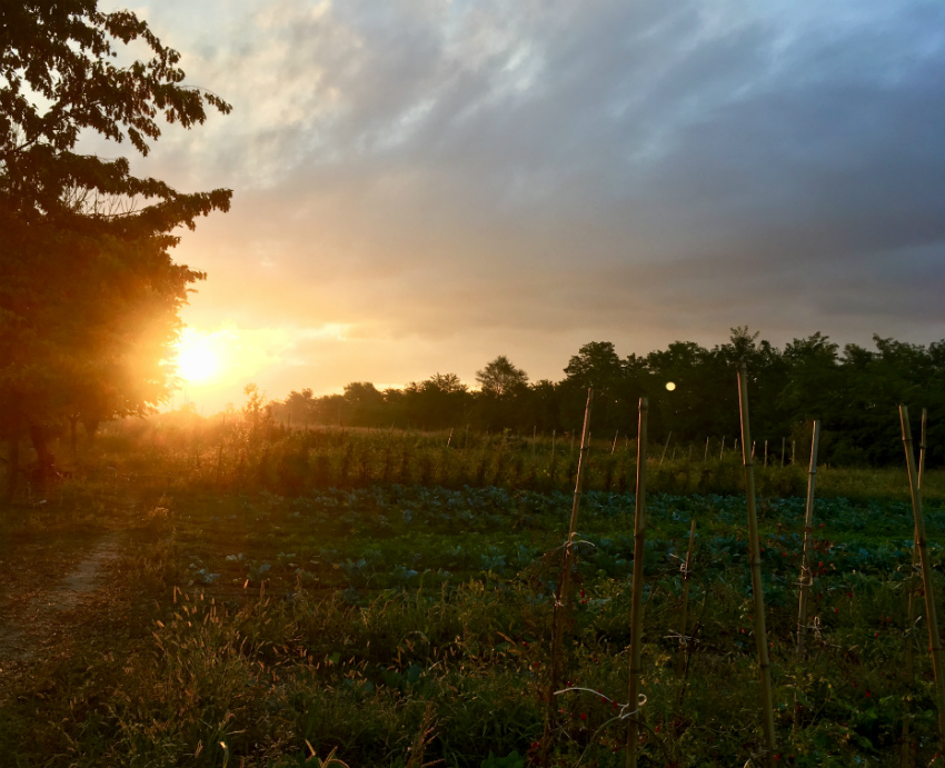 autunno alba