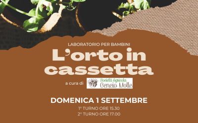 Laboratorio di orto in cassetta per bambini