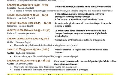 Da prato a orto senza zappare: il metodo naturale della Lasagna Garden per trasformare una parte di giardino in orto biologico