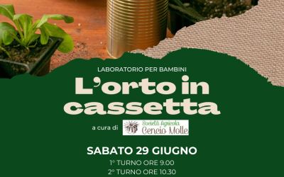 Laboratorio di Orto in Cassetta al Mercato Contadino di Borgochiesanuova