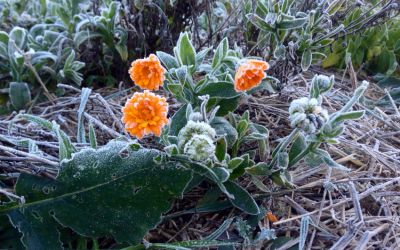 I contorni di novembre