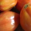 Pomodori cuore di bue