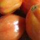 Pomodori cuore di bue