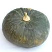 Zucca delica