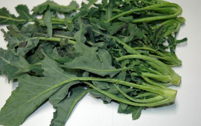 Il Broccolo Fiolaro