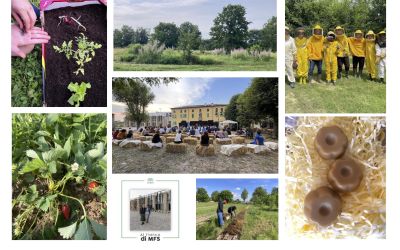Programma del 19 maggio: Per Corti e Cascine in Corte Maddalena