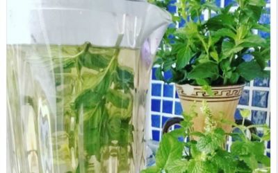 Infuso di menta-bergamotto di Roberta