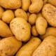 Patate
