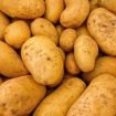 Patate