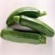 Zucchne