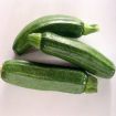 Zucchne